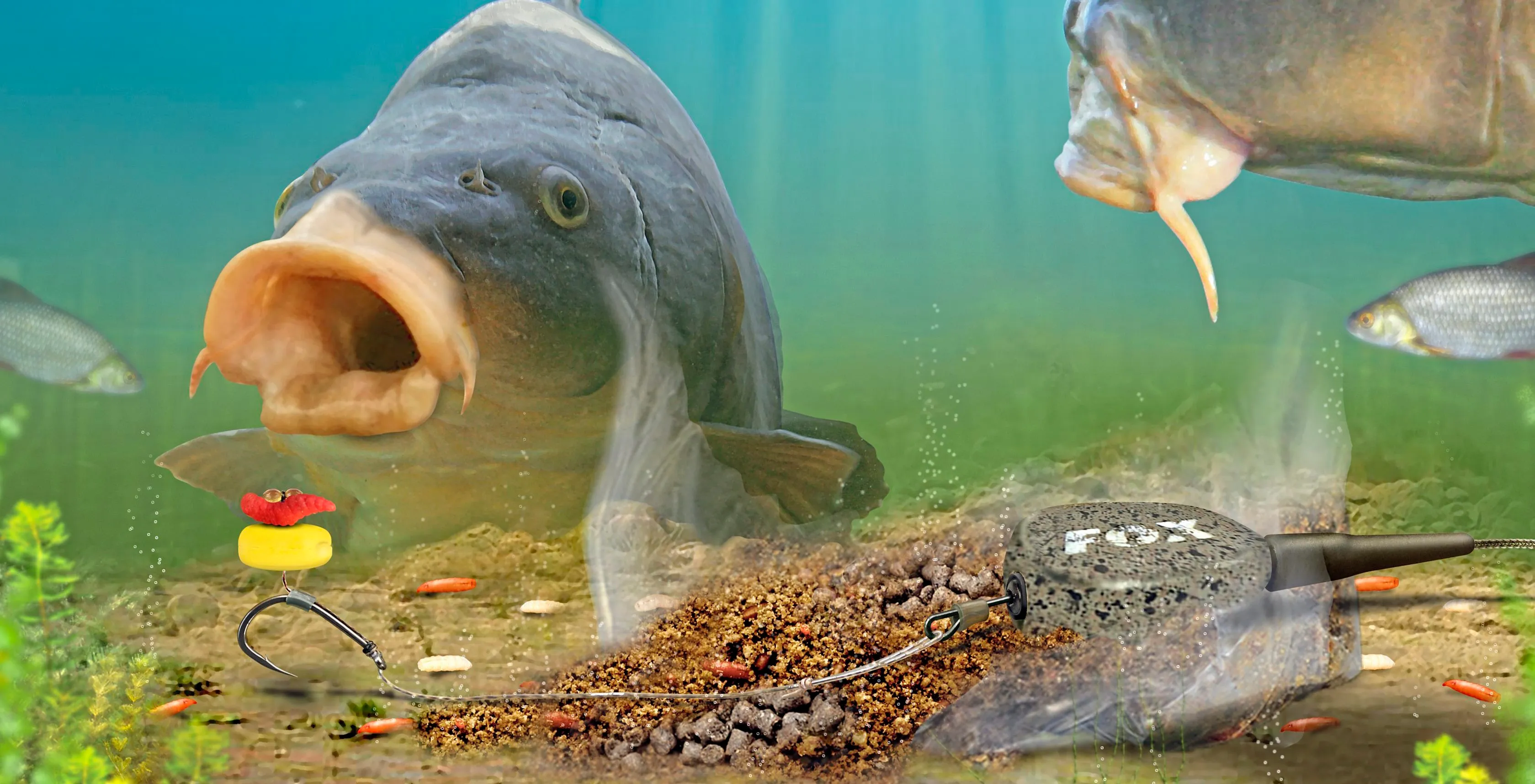Six Types Of Carp Rigs For Beginners 